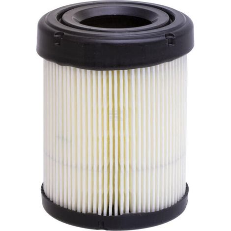Filtro aria BRIGGS & STRATTON 591583