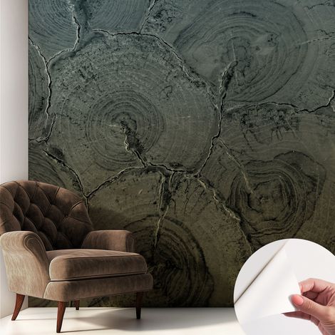 Papier peint adhésif décoratif avec colle pour salon chambre à coucher et bureau Design moderne et facile à poser Cernes de bois 250x250 cm (1/5)