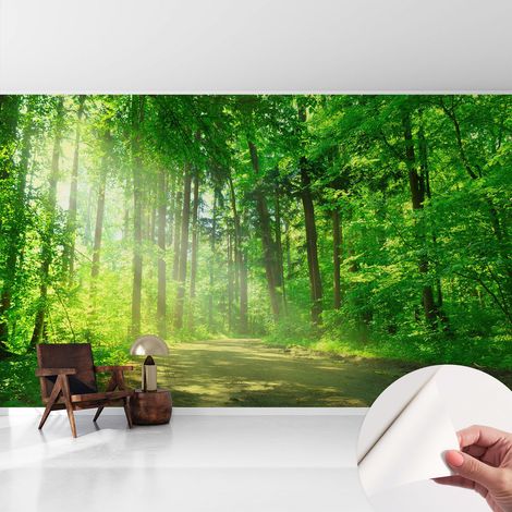 Fotomurale adesivo - parete decorativa - decorazione casa - stile moderno parete - Sentiero nel bosco 416x254 cm (1/5)