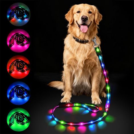 Laisse Lumineuse pour Chien, 1,2 m, LED Laisse Chien Réfléchissante en Silicone, Limperméable, 12 Modes d'Éclairage, Rechargeable par USB, pour Grands, Moyens et Petits Chiens (1/5)