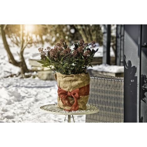 Windhager Winterschutz für Pflanzen Jute 0,5 x 4 m natur Schutzvlies (1/3)