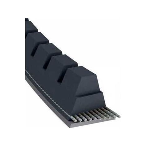 Courroie tondeuse XPA800 trapézoïdale crantée  12,7 x 817 mm (1/5)