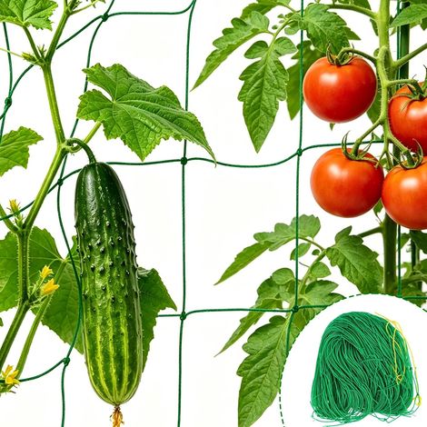 Filet pour Concombre Filet Plante Grimpante Exterieur 3m x 2m (1/5)