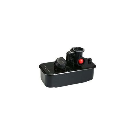 Carburateur Briggs & Stratton 494406 – Pièce moteur à essence pour foresterie et agriculture – Compatible avec outils électroportatifs (1/5)