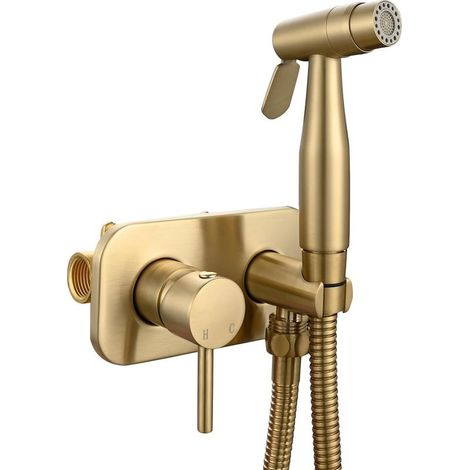 Hand shower WC in stainless steel Set of faucet of bidet recessed Hot water and cold Sprayer of bidet for toilet, Dore (1/5)