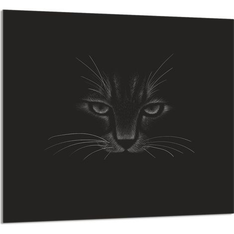 PANEL DE VIDRIO PARA COCINA 65x60 Cat (1/5)