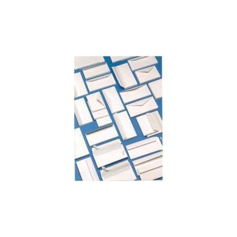 Blasetti Geschäftsumschläge ohne Fenster für automatisches Kuvertieren 11x23 cm gummiert 80 g/m² - Packung 500 Stück