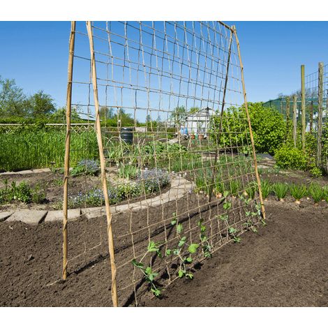 Direct Filet – Filet à ramer en jute 1 x 3 m – 100% naturel et biodégradable – Pour palissage de plantes grimpantes – Résistance 98g/m²