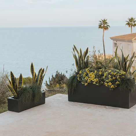 JARA 60 Macetero Rectangular de Interior y Exterior Para Plantas y Flores Muy Resistente al Paso del Tiempo. Jardinera Hecha de Polietileno en España - Negro
