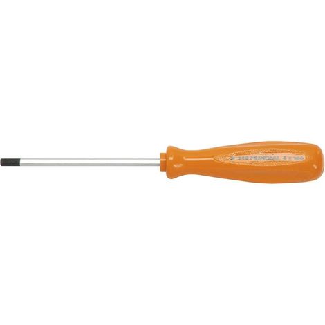 CACCIAVITE ESAGONALE MASCHIO mm 4,0 x 100 - manico mm 91 x 25