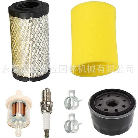Kit filtre à air et filtre à huile 793569 pour tondeuse