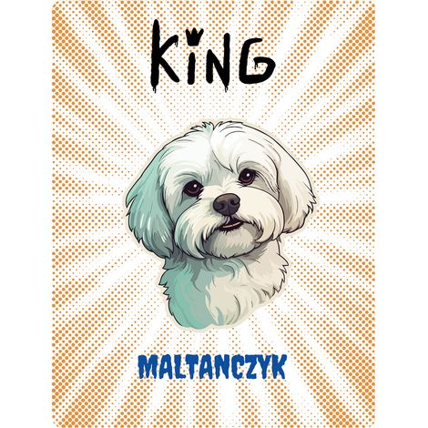 Placa del rey de Malta - 20x28 cm
