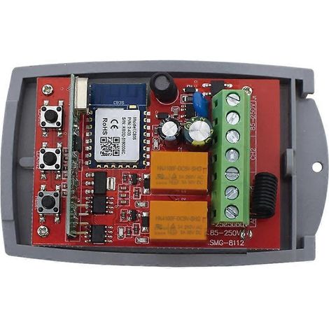 Télécommande intelligente Wi-Fi pour portail de garage, récepteur universel 433 MHz, module relais 2 canaux, compatible 85-250 V (1/5)