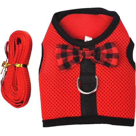 Laisse pour animaux de compagnie - Rouge - Taille M (1/5)