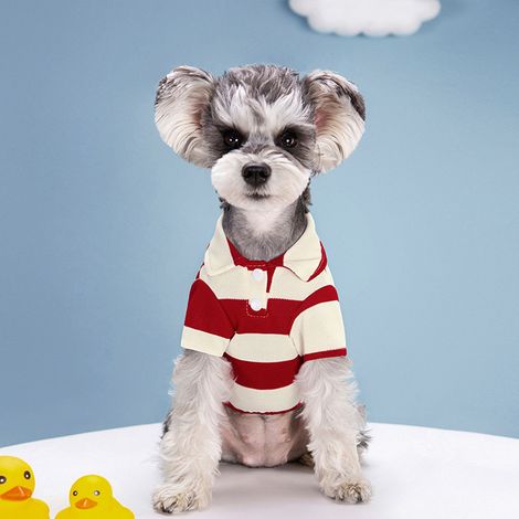 vêtement pour chien - Rayures d'été - Vêtements fins pour animaux - Convient aux chiens bipèdes de type Teddy, Bichon, Poméranien, Bouledogue français et Chat (1/4)