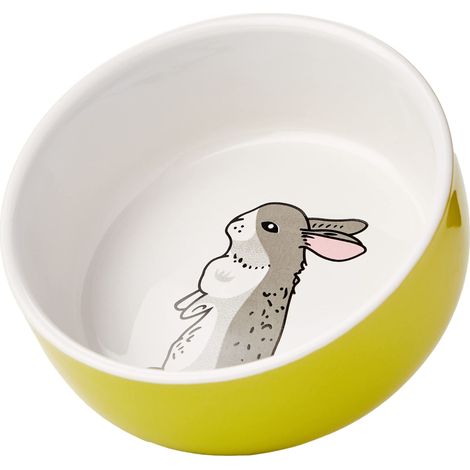 Nobby Ciotola in Ceramica per roditori a Forma di Coniglio Verde/Bianco, Diametro 11 cm x 4,5 cm, 1 Pezzo (1/2)