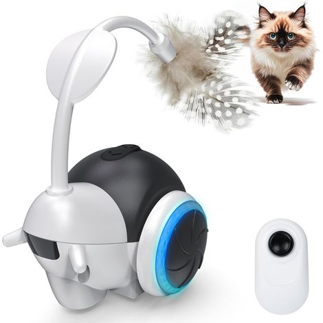 Jouet interactif pour chat, jouet d'intérieur, 2 modes de fonctionnement, jouet à activation automatique par mouvement, rechargeable par USB (1/5)