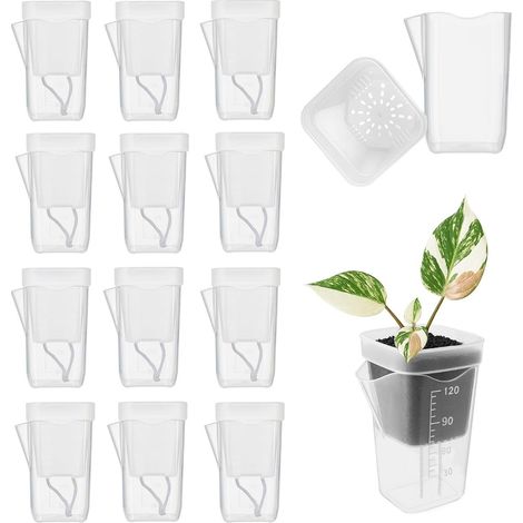 Lot de 12 pots de semis avec étiquette pour plante, plateaux de culture transparents en ABS pour une propagation rapide et une pépinière. Grand format. (1/5)