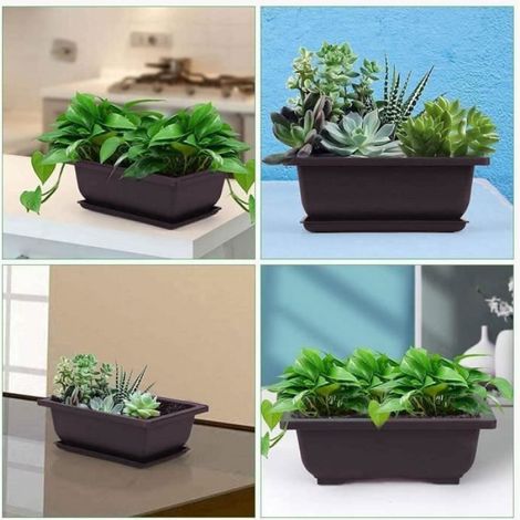 5 Paquets Bonsai Entraînement Pots and Plateaux, Pots d'entraînement Pot de Plante Plastique carré avec Plateaux carrés (1/4)