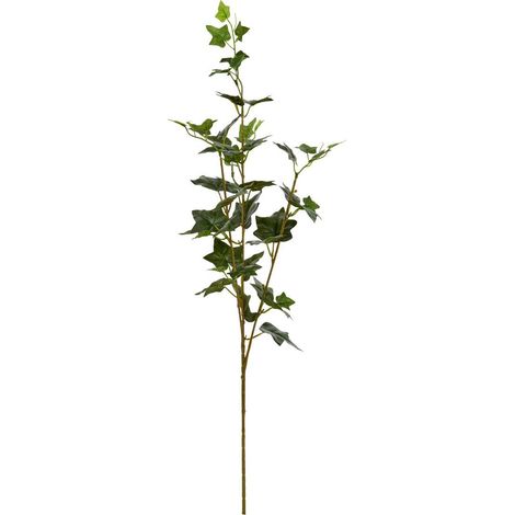 Efeustiel Nelia, H. 80 cm, grün - Atmosphera créateur d'intérieur (1/2)