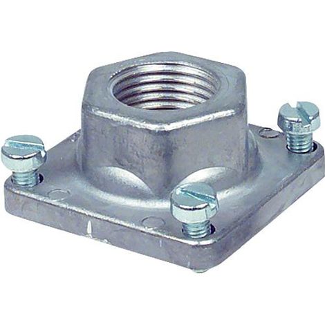 Bride de raccord droite 3/4" 45.002.776-004 B BG