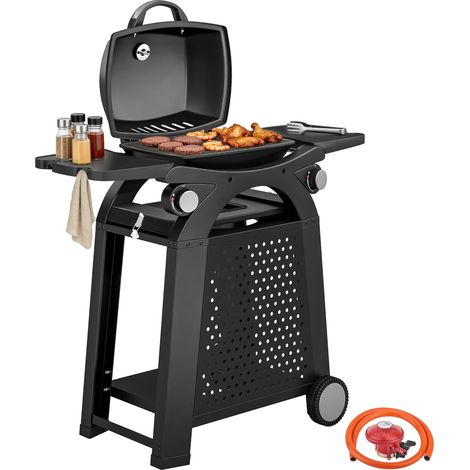 Black 2-Burner Gas Barbecue with Cast Iron Grills and Wheels (1/5)