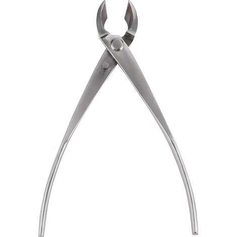 Coupe-branches à bords arrondis en acier inoxydable, sécateur de jardin, outils pour bonsaï (1/4)