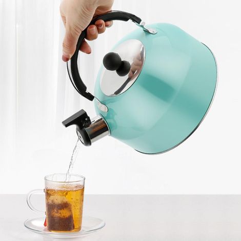 Siffant 3-Liter-Edelstahl-Camping-Trinkflasche – leicht und robust für Wandern, Picknicks, Grillabende und Reisen