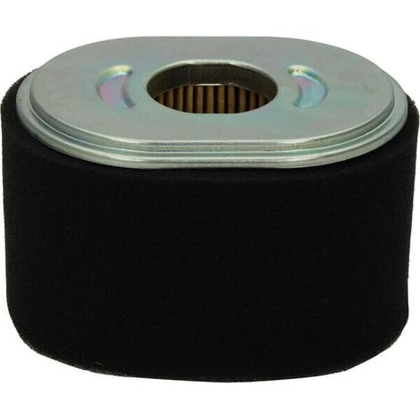 Filtro HONDA 17210Z1TA11