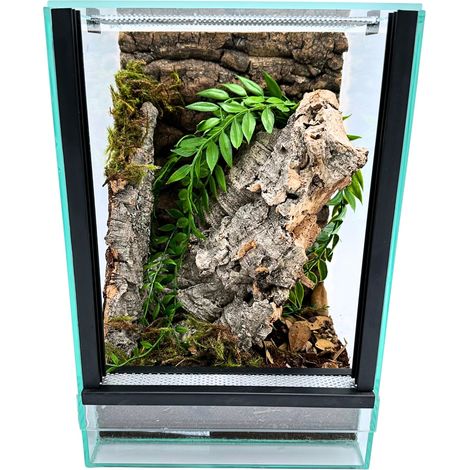 Glas-Terrarium mit Zubehör, 20x20x30cm, Set für Baumspinnen (1/5)