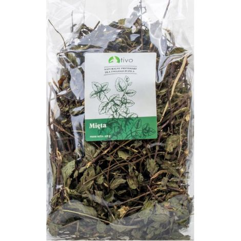 Tivo Menta 100g - Menta 100g