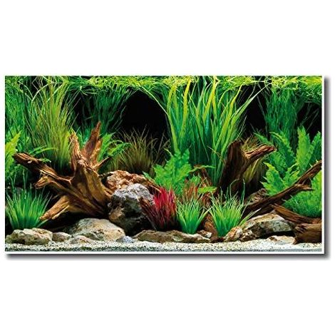 Sfondo doppio Wonder blister 30x60 cm (1/3)