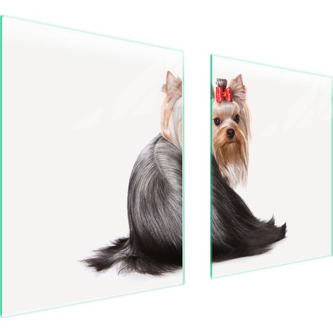 GLASSCHUTZPLATTE FÜR HERD 85x52 HUND (1/5)