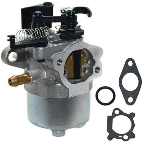 Kit carburateur tondeuse Briggs & Stratton Compatible Dov 700/750 (792038) Réparation moteur Fiable et performant Propriétaires de tondeuses (1/4)