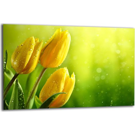 PLAQUE DE PROTECTION EN VERRE POUR CUISINIÈRE 80x52 TULIPES (1/5)