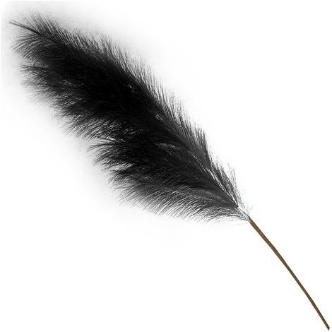 Herbe de la pampa artificielle haute et volumineuse, noire, idéale pour remplir de vases, décorer une chambre ou un mariage. (1/5)