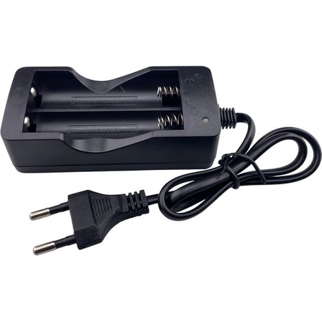Trade-Shop Dual Ladegerät Ladestation für 3,6V/3,7V Li-Ion Akkus Batterien wie 17650, 17670, 14650, 18650, 18700, 12700