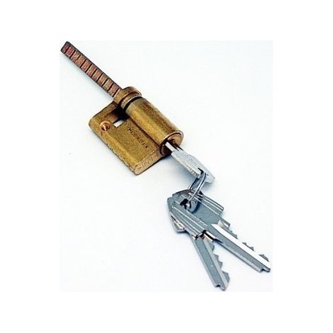Cilindro 30X10Mm Te5R3010L Laton Regulable Barra Universal Tesa
