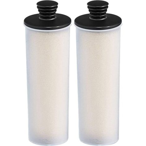 Parts: Steam Cleaner Cartridge, Descaling Stick for SC3 Series SC 3 Easyfix/SC3MX/SC3 127V BR Descaling Filter