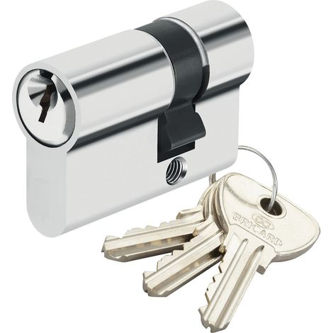 Demi Cylindre de sécurité pour porte barillet 10x30 mm Alpha Bricard 3 clés (1/3)