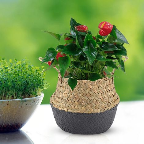 Panier pliable en jonc de mer naturel tressé pour vêtements et plantes (noir) (1/5)