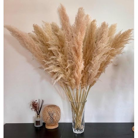 15 Morceaux de 100 cm Grande Herbe de Pampa, Bouquet de Fleurs séchées Naturelles et moelleuses, Herbe de Pampa XXL, pour décoration intérieure bohème, décoration Murale, Table, Mariage, Chambre (1/5)