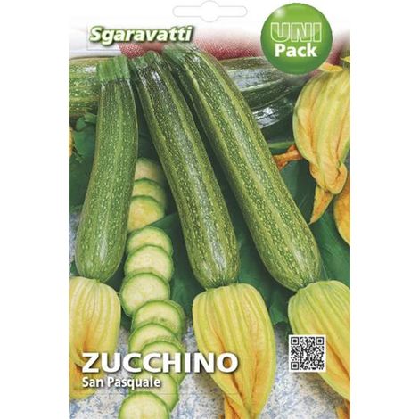 Semi per Ortaggi e Vegetali Zucchino S.pasquale Sgaravatti 10 Pezzi