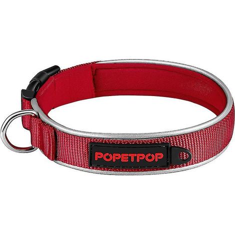 1 collier pour chien à usage domestique (1/3)