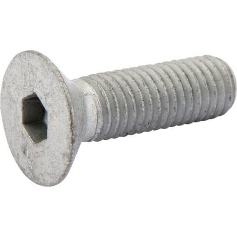Torn. avell. M12x40 DIN7991 LEMKEN 3016130
