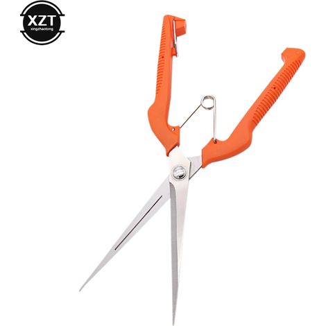 Cisaille à fruits grande taille, outils de jardin en acier inoxydable, cisaille à fruits, cisaille à éclaircir, outils à main-AquaForge