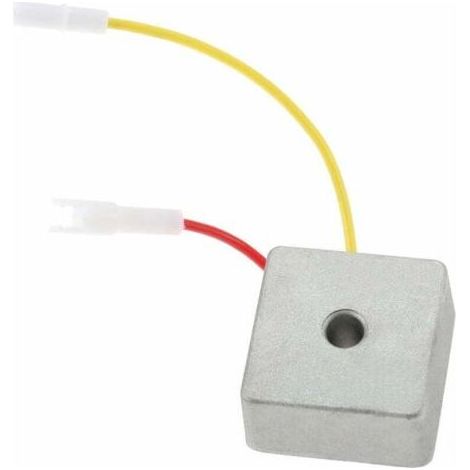 Régulateur de tension pour Briggs & Stratton 691188 491546 793360 794360 (1/5)