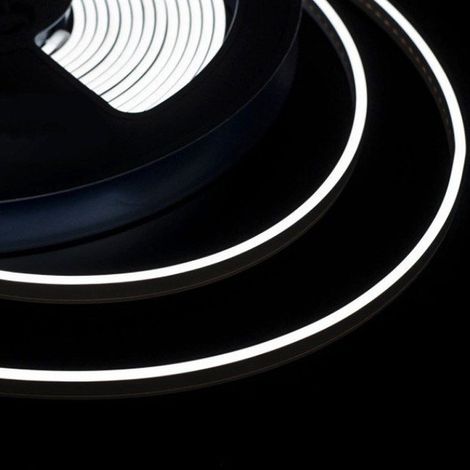 24V Bobina Striscia LED Neon Flex Bianco Freddo 6500K 10 Metri IP65 10W/M Tagliabile