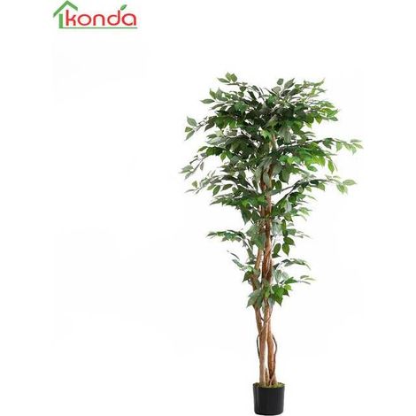 2 x C PIANTA FICUS ARTIFICIALE 180 CM