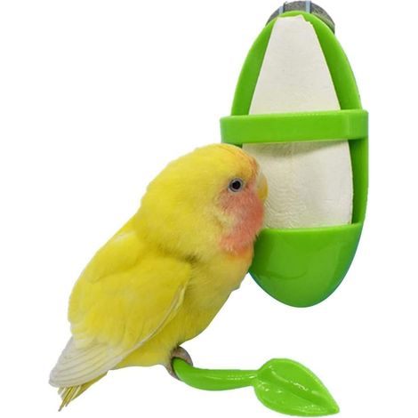 1 Pièce Supports Dalimentation en Os pour Câlins en Plastique Supports De Cage De Perroquet Accessoires (1/5)